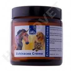 Echinacea cream for horses, pets, cattle etc.